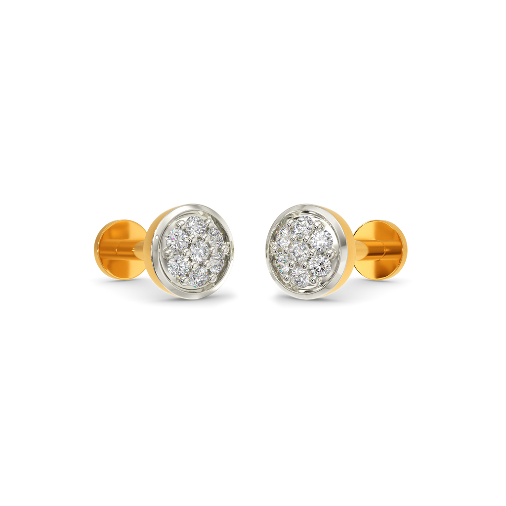 Encrusted Diamond Earrings