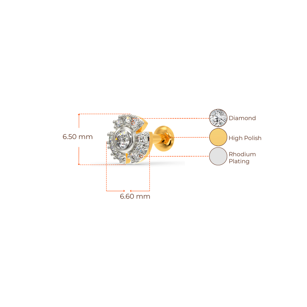 Without Limits Diamond Nose Pins