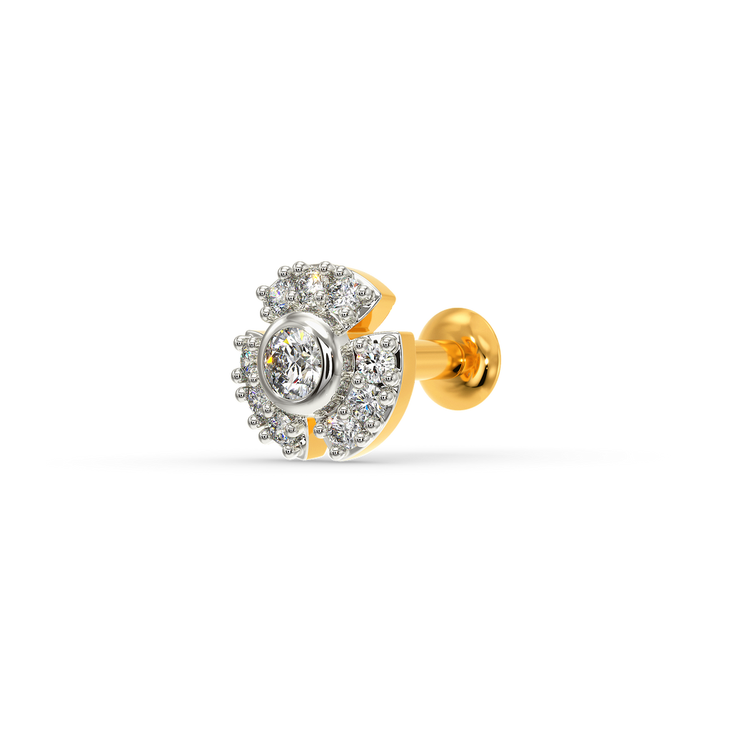 Without Limits Diamond Nose Pins