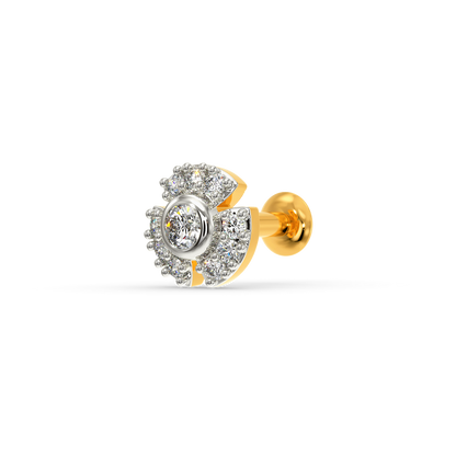 Without Limits Diamond Nose Pins