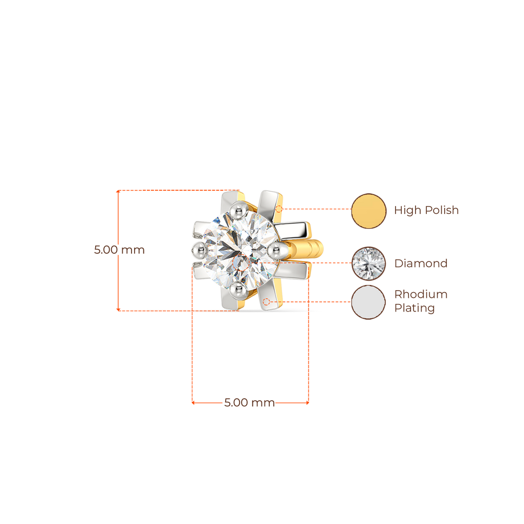 Wander On Diamond Earrings