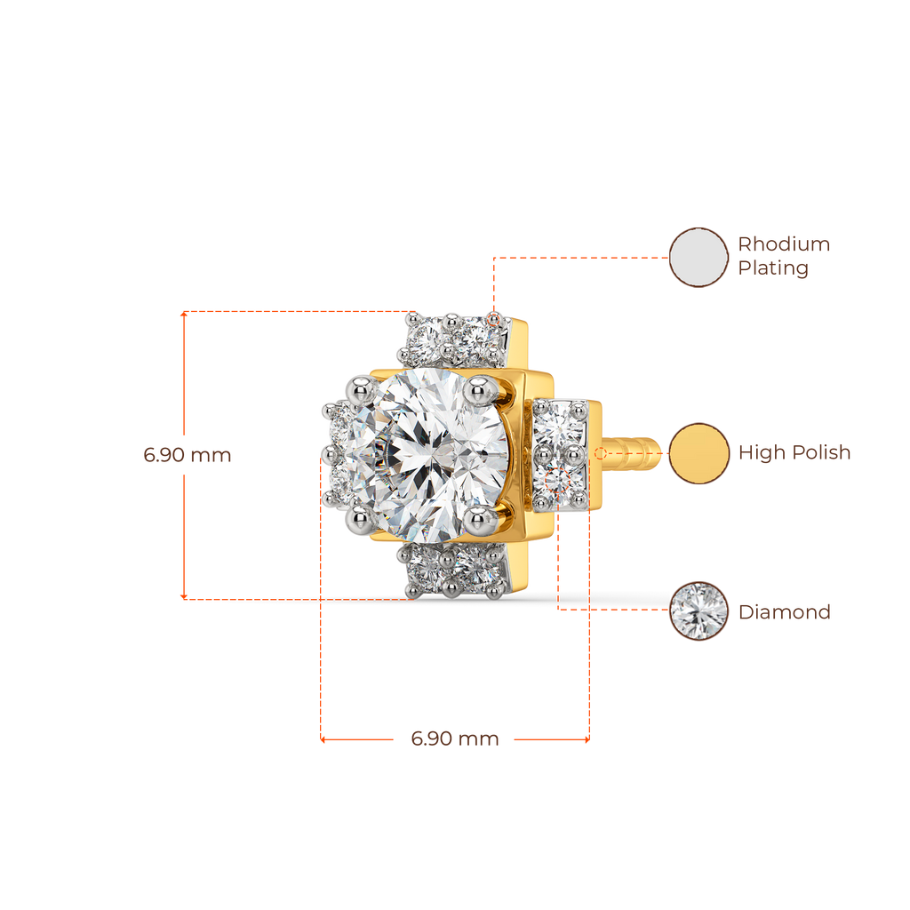 Stunned Diamond Earrings