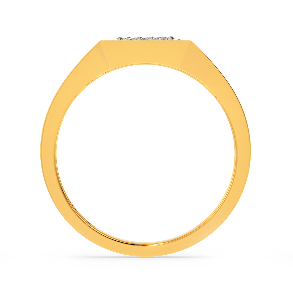 Wild Path Diamond Rings For Men