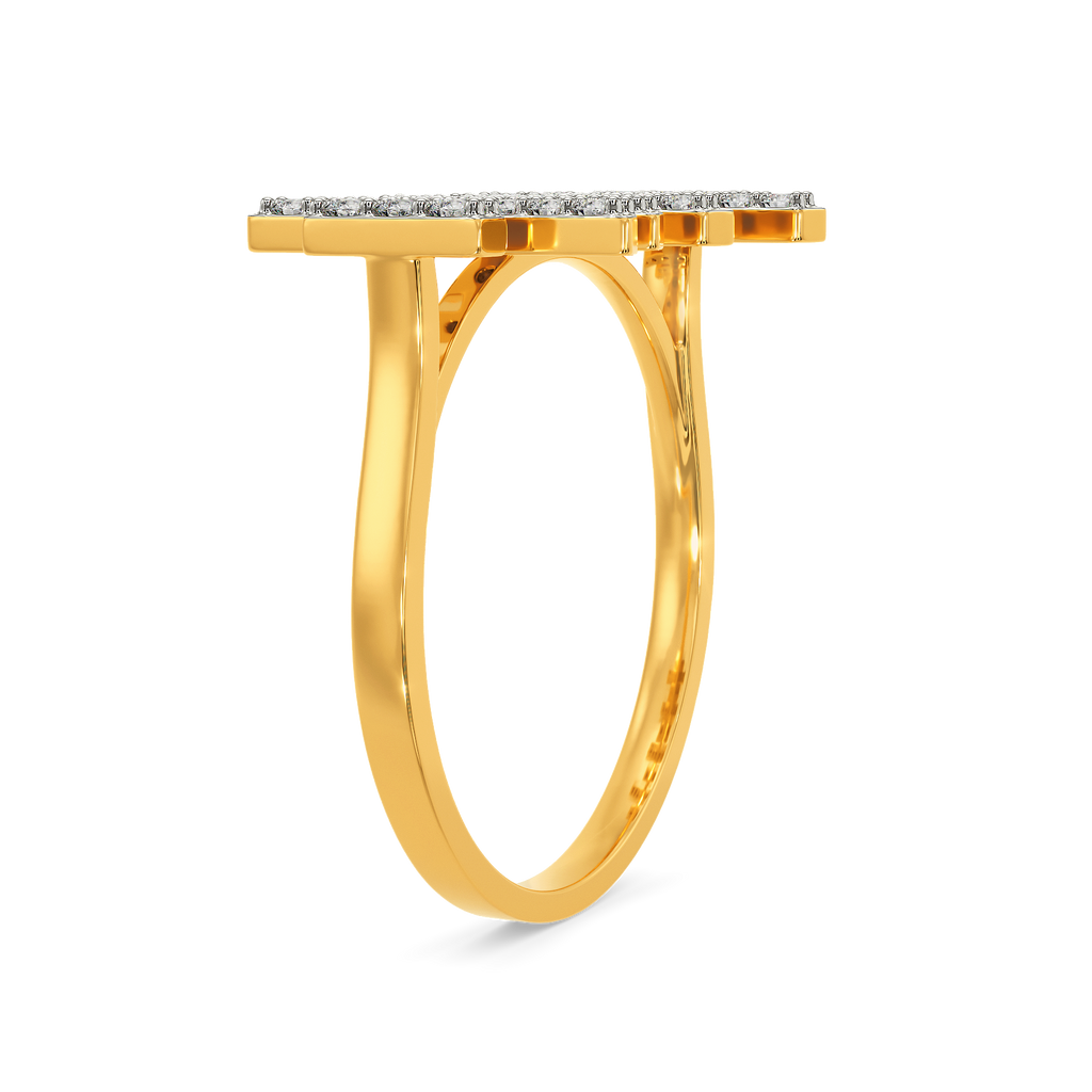 Big Bag Theory Diamond Rings