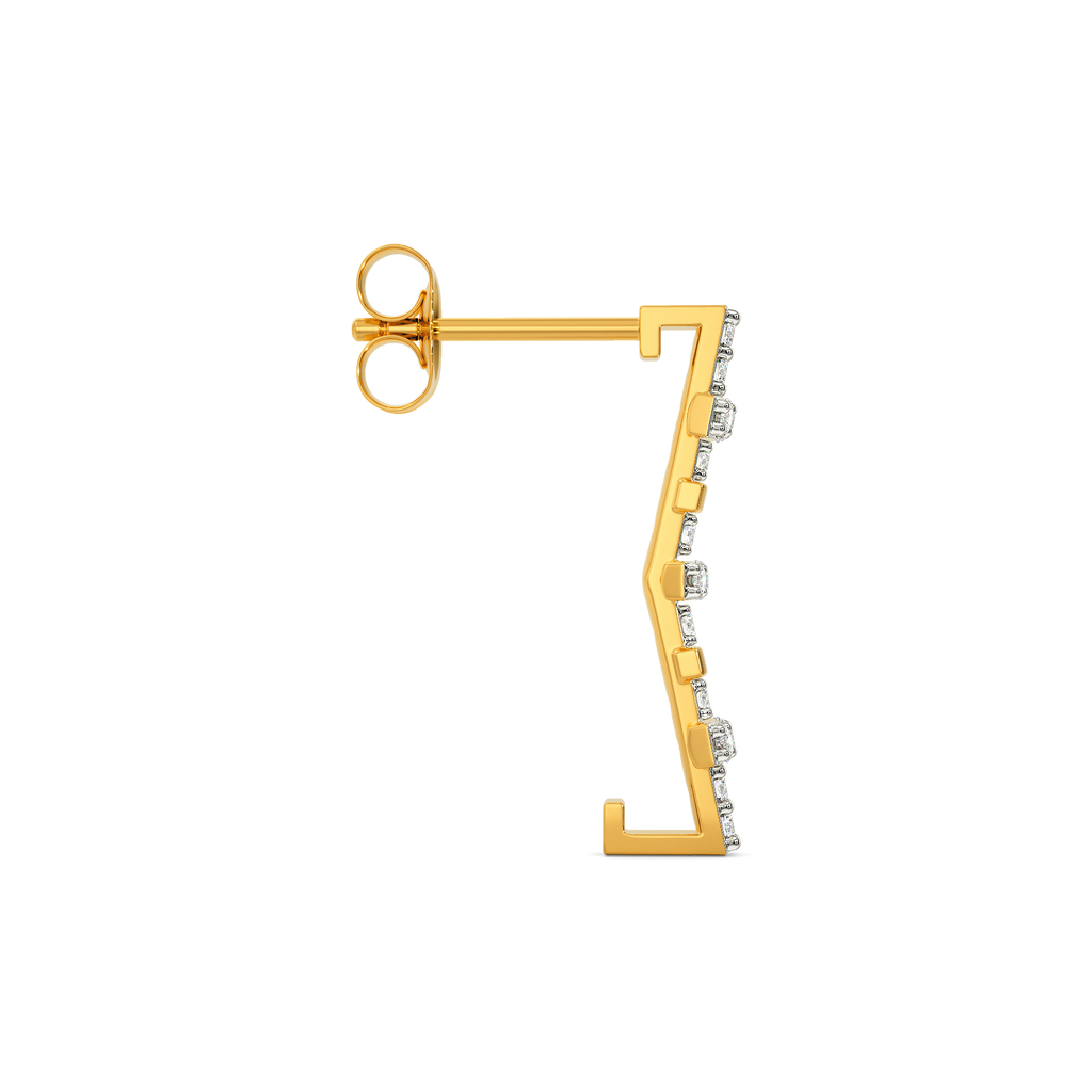 Big Bag Theory Diamond Earrings