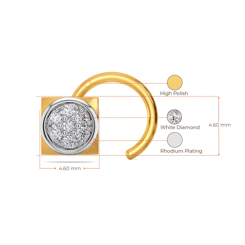 Neutral Notes Diamond Nose Pins