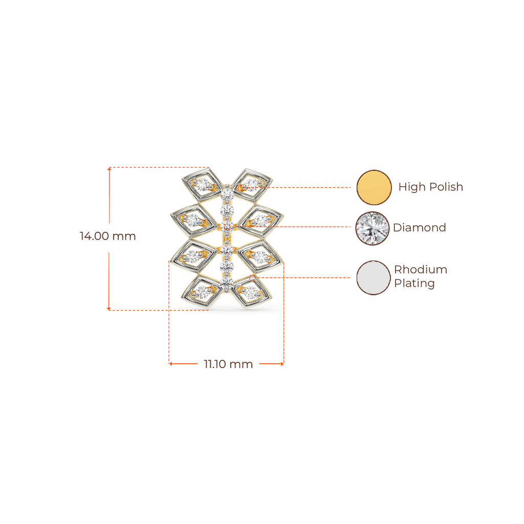 Net Around Diamond Earrings