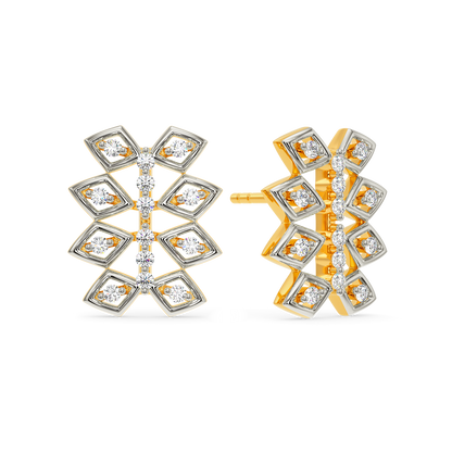 Net Around Diamond Earrings