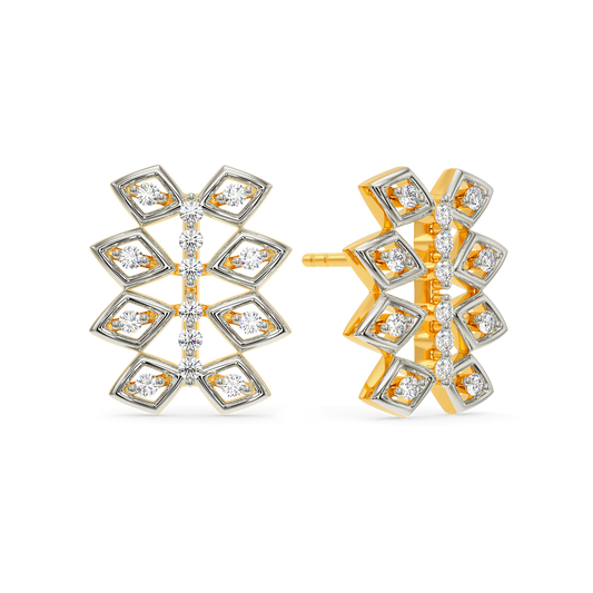 Net Around Diamond Earrings