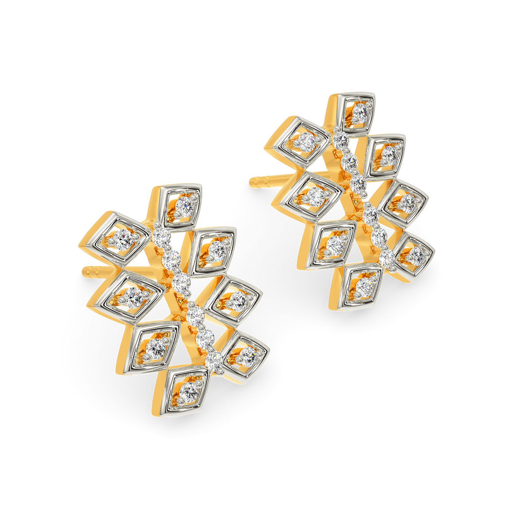 Net Around Diamond Earrings