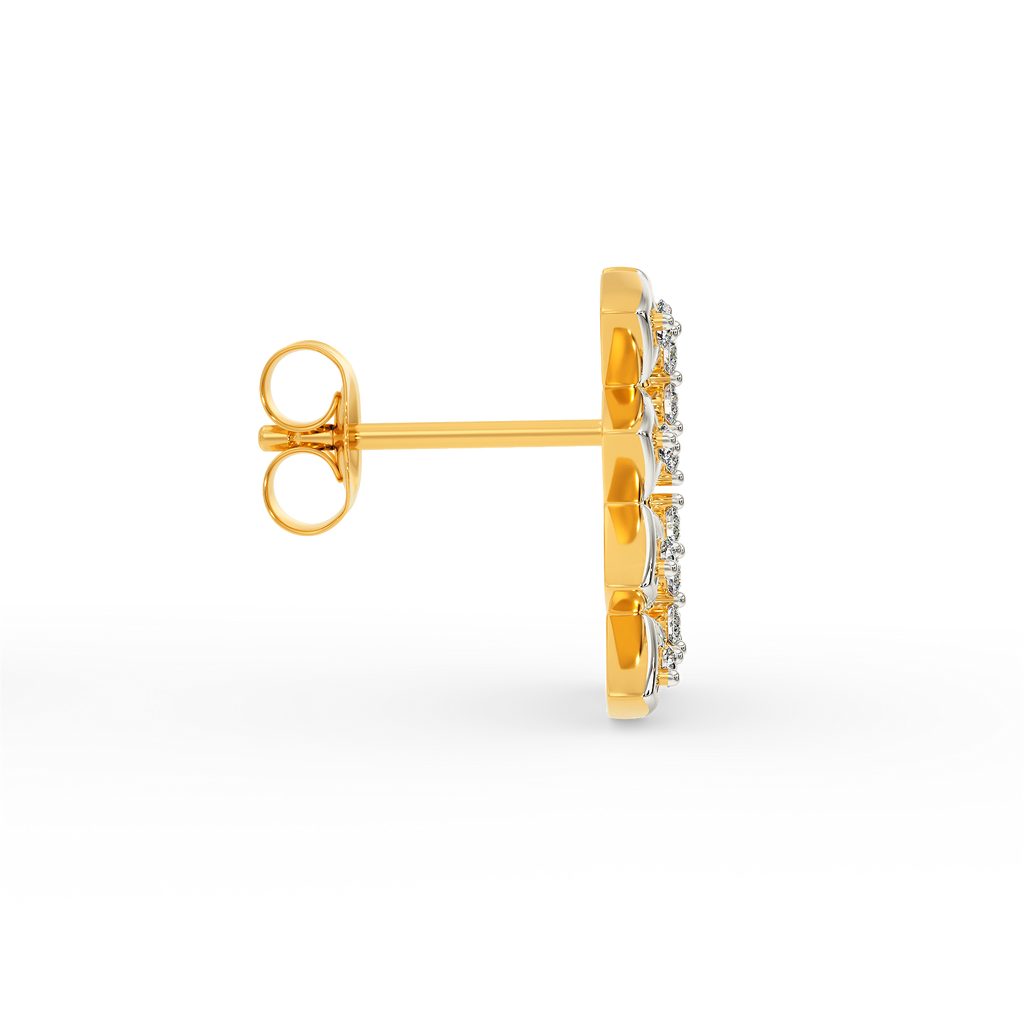 Net Around Diamond Earrings