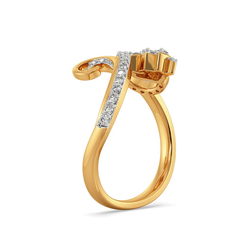 Party in the Royal Garden  Diamond Rings
